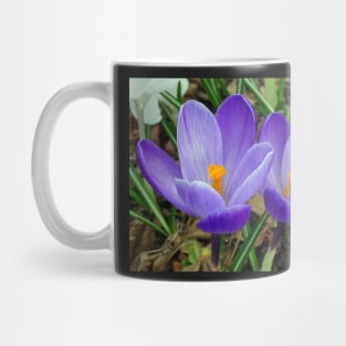 Spring Crocus Mug